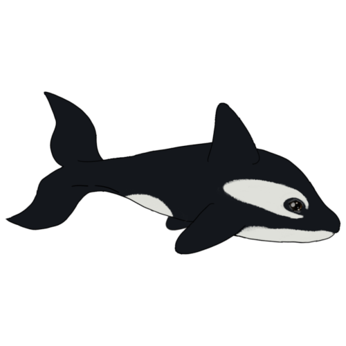  A cartoon drawing of an orca with black and white markings.